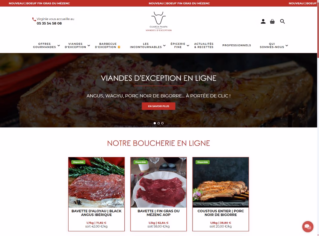 Evolution de la homepage Guarda Pampa